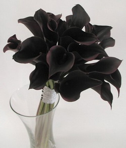 Black Flowers Background Black Flowers Background
